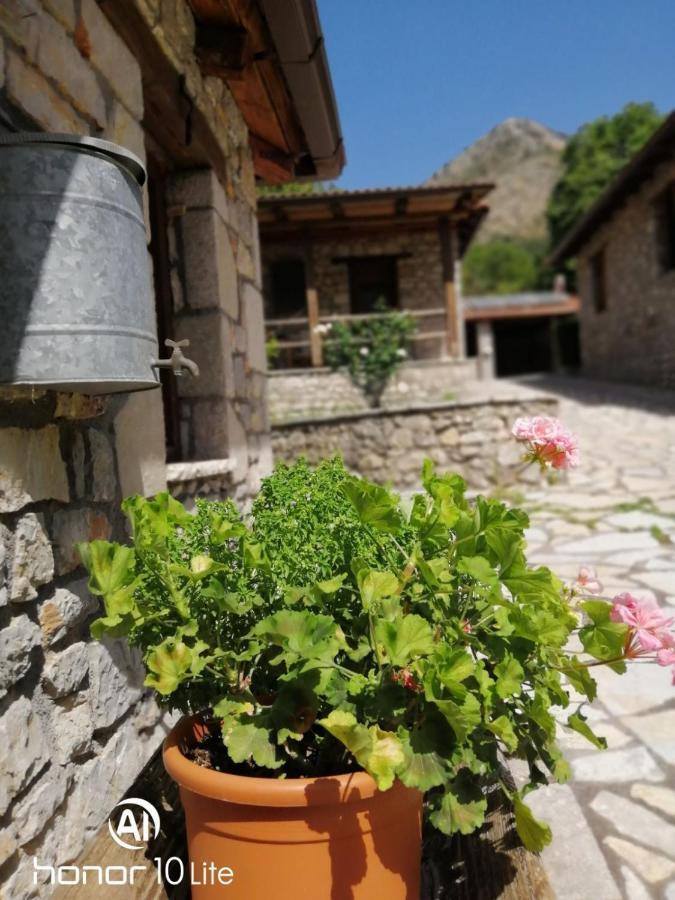 Villa Petrina Theohari Lekhouri Esterno foto