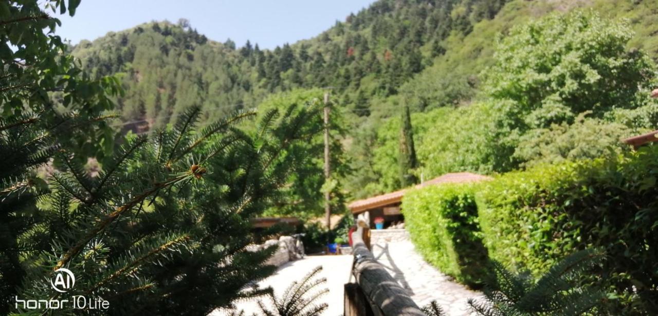Villa Petrina Theohari Lekhouri Esterno foto